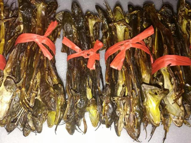 绥宁大山里的美味馈赠～黄蛙