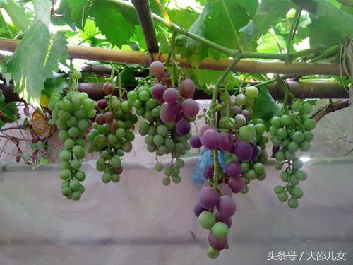 与武冈都梁古城墙共存的记忆