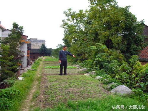 与武冈都梁古城墙共存的记忆