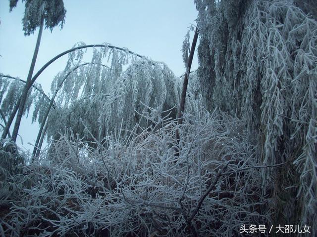 邵阳迎来2018年第一场雪！绝美雾凇让你体验人间仙境！