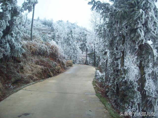 邵阳迎来2018年第一场雪！绝美雾凇让你体验人间仙境！