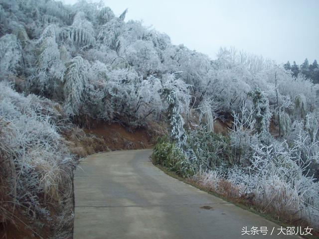 邵阳迎来2018年第一场雪！绝美雾凇让你体验人间仙境！
