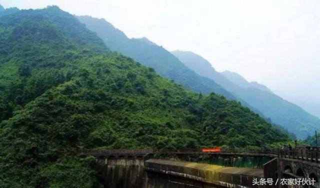 壹品洞口：洞口半江美景 半江清澈半江浊