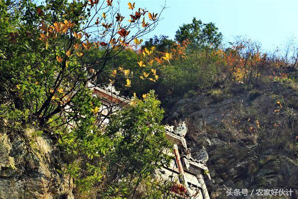 藏在洞口深山的世外桃源!洞口人都去过么？