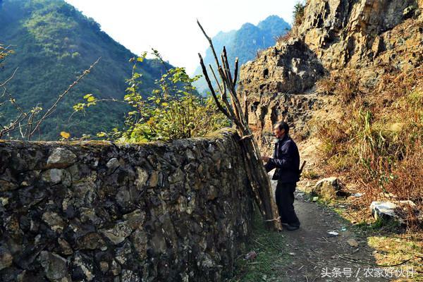 藏在洞口深山的世外桃源!洞口人都去过么？