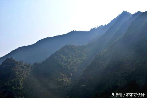 藏在洞口深山的世外桃源!洞口人都去过么？
