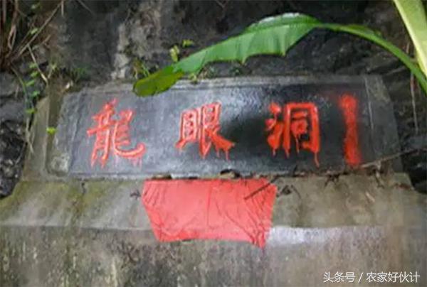 壹品洞口：湖南洞口有个神奇的洞 叫做龙眼洞