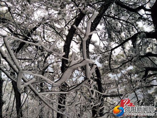新邵县迎光乡：绝美雾凇醉寒冬