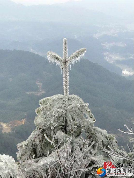 新邵县迎光乡：绝美雾凇醉寒冬