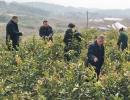 武冈市：立新村瞄准特色产业促脱贫